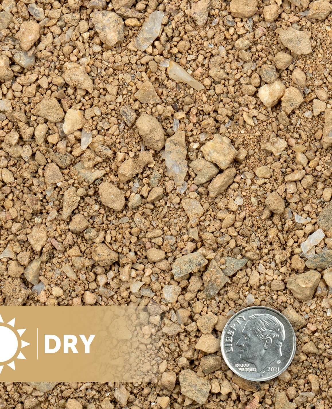 classic-stab-gold-pathway-dry